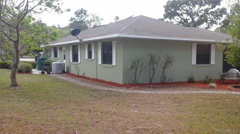 2449 W Spring Leaf Ln, Lecanto, FL 34461 photo 9