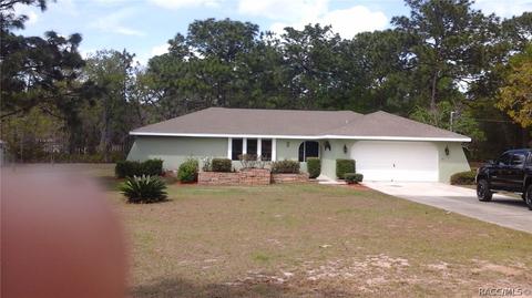 2449 W Spring Leaf Ln, Lecanto, FL 34461 photo 1