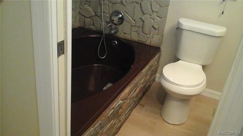 2449 W Spring Leaf Ln, Lecanto, FL 34461 photo 16