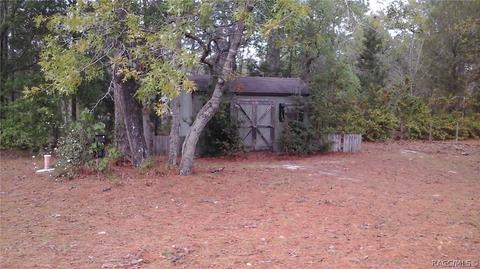 2449 W Spring Leaf Ln, Lecanto, FL 34461 photo 8