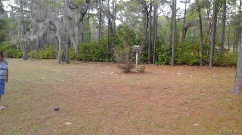 2449 W Spring Leaf Ln, Lecanto, FL 34461 photo 5