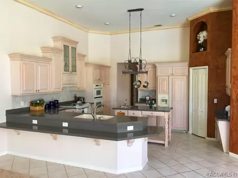 131 W Mickey Mantle Path, Hernando, FL 34442 photo 3
