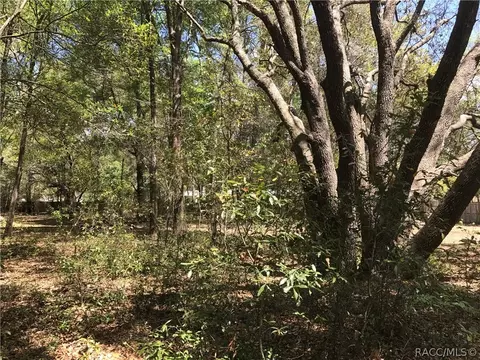 10941 NE 95th St, Archer, FL 32618 photo 34