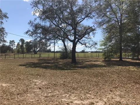 10941 NE 95th St, Archer, FL 32618 photo 33