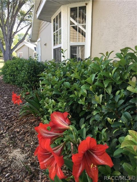 1609 N Foxboro Loop, Crystal River, FL 34429 photo 24