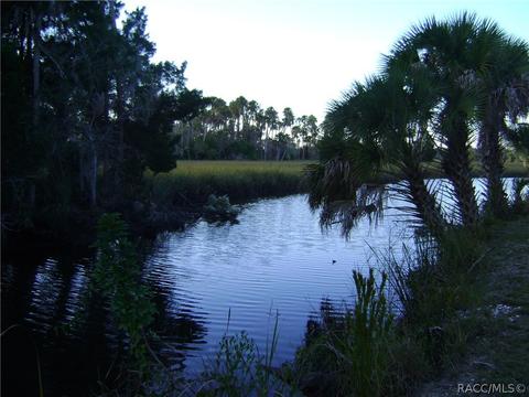 1609 N Foxboro Loop, Crystal River, FL 34429 photo 38