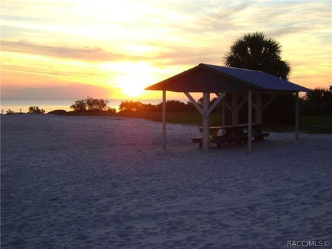 1609 N Foxboro Loop, Crystal River, FL 34429 photo 44