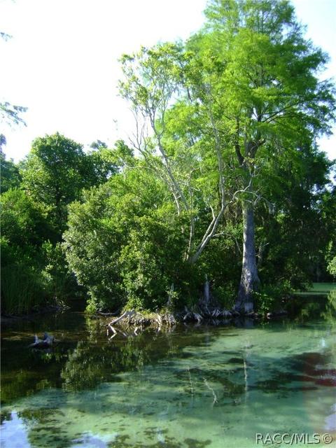 1609 N Foxboro Loop, Crystal River, FL 34429 photo 35