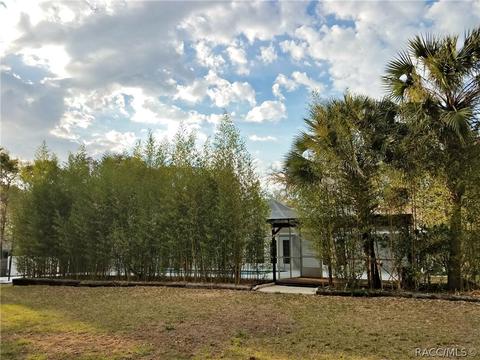 622 E Knightsbridge Pl, Lecanto, FL 34461 photo 41