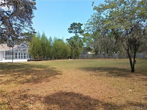 622 E Knightsbridge Pl, Lecanto, FL 34461 photo 44