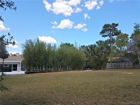 622 E Knightsbridge Pl, Lecanto, FL 34461 photo 42