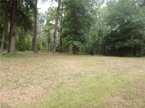 1684 W Tacoma St, Hernando, FL 34442 photo 33