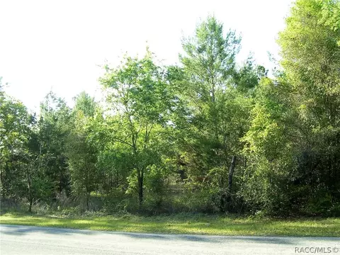 1750 E Tradewind Dr, Hernando, FL 34442 photo 1