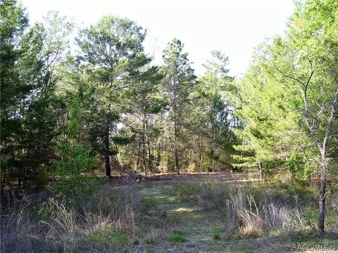 1750 E Tradewind Dr, Hernando, FL 34442 photo 2