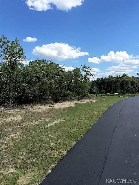 3845 W Shadow Creek Loop, Lecanto, FL 34461 photo 8