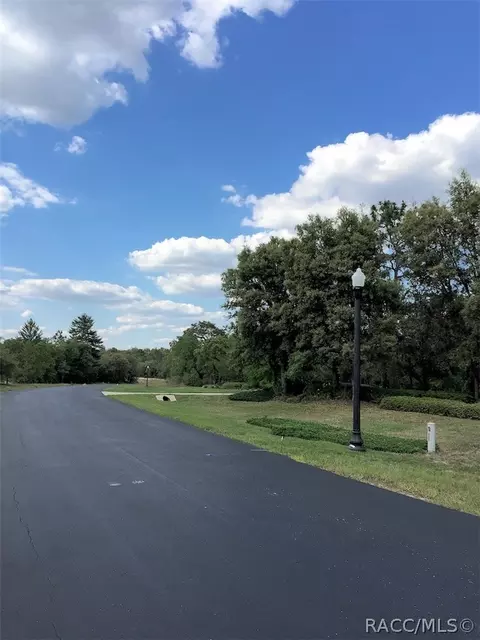 3845 W Shadow Creek Loop, Lecanto, FL 34461 photo 7