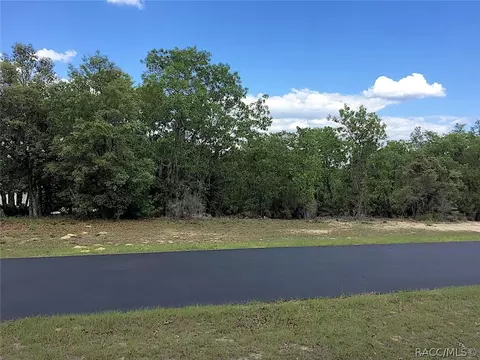3845 W Shadow Creek Loop, Lecanto, FL 34461 photo 11