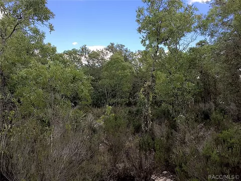 3845 W Shadow Creek Loop, Lecanto, FL 34461 photo 10