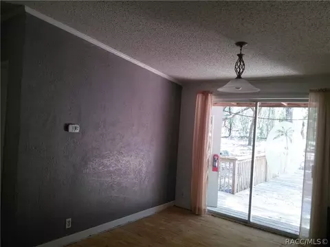 1372 E Winnetka St, Hernando, FL 34442 photo 22