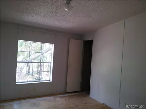 1372 E Winnetka St, Hernando, FL 34442 photo 32