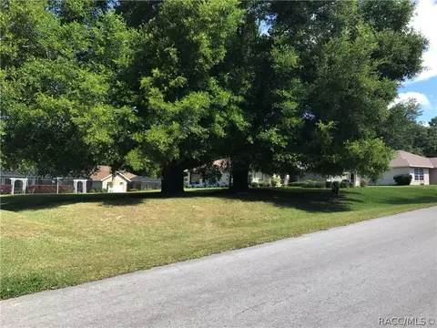 3045 E Sweet Meadow Ct, Hernando, FL 34442 photo 3