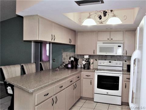9225 E Windwood Loop, Inverness, FL 34450 photo 3