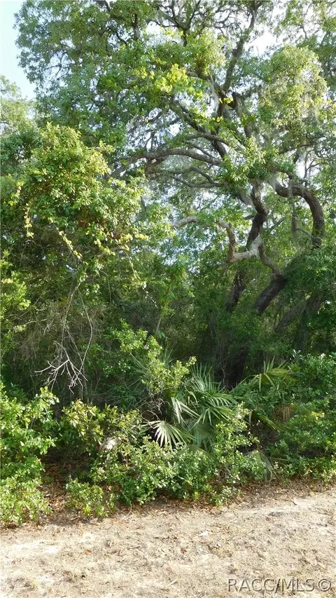1680 Evelyn St, Hernando, FL 34442 photo 4