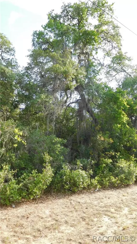 1680 Evelyn St, Hernando, FL 34442 photo 6