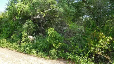 1680 Evelyn St, Hernando, FL 34442 photo 2