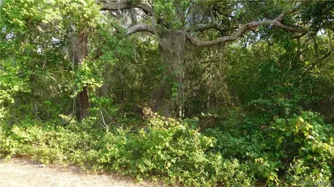 1680 Evelyn St, Hernando, FL 34442 photo 7