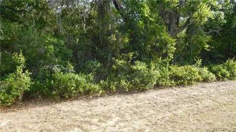 1680 Evelyn St, Hernando, FL 34442 photo 5