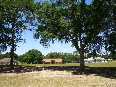334 E Falconry Ct, Hernando, FL 34442 photo 5