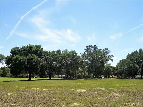 334 E Falconry Ct, Hernando, FL 34442 photo 1