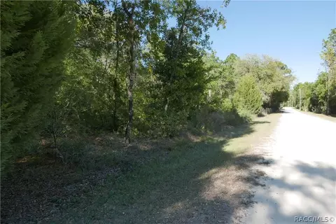 927 S Sharp Ln, Lecanto, FL 34461 photo 4