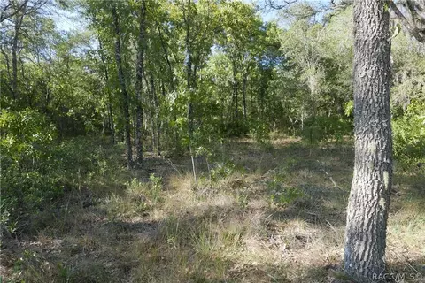 927 S Sharp Ln, Lecanto, FL 34461 photo 7