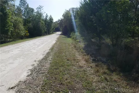 927 S Sharp Ln, Lecanto, FL 34461 photo 10