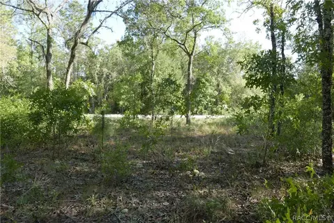 927 S Sharp Ln, Lecanto, FL 34461 photo 1