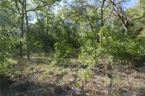 927 S Sharp Ln, Lecanto, FL 34461 photo 6