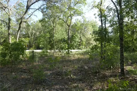 927 S Sharp Ln, Lecanto, FL 34461 photo 8
