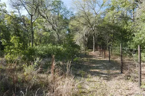 927 S Sharp Ln, Lecanto, FL 34461 photo 9