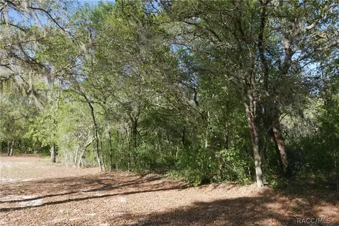 927 S Sharp Ln, Lecanto, FL 34461 photo 5