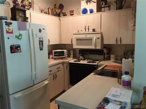1211 E Rockefeller Ln, Hernando, FL 34442 photo 23