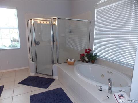 290 W Mickey Mantle Path, Hernando, FL 34442 photo 17