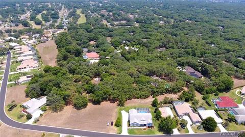 290 W Mickey Mantle Path, Hernando, FL 34442 photo 35
