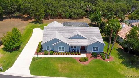290 W Mickey Mantle Path, Hernando, FL 34442 photo 36