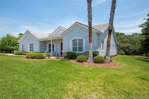 290 W Mickey Mantle Path, Hernando, FL 34442 photo 41