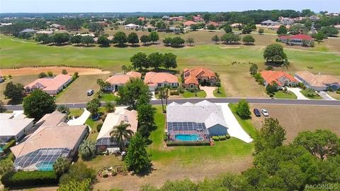 290 W Mickey Mantle Path, Hernando, FL 34442 photo 38