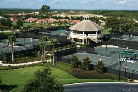 290 W Mickey Mantle Path, Hernando, FL 34442 photo 44