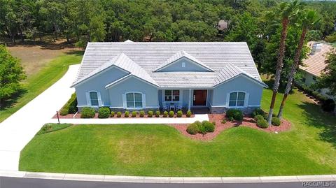 290 W Mickey Mantle Path, Hernando, FL 34442 photo 34