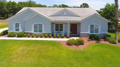 290 W Mickey Mantle Path, Hernando, FL 34442 photo 1